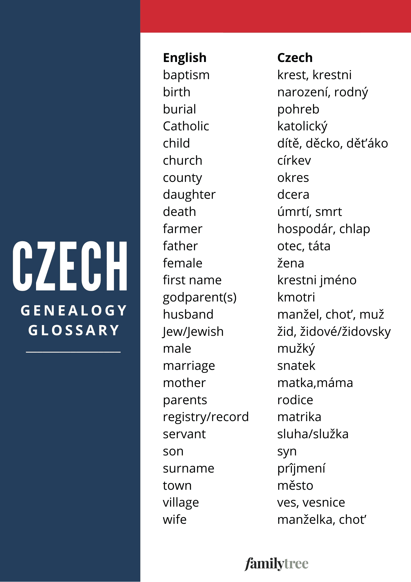czech genealogy glossary
