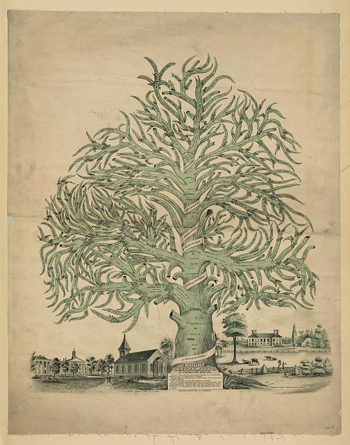 A decorative family tree for the Lee family from the Library of Congress.