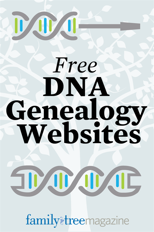 DNA test results free online tools