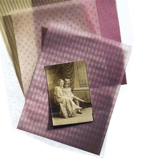 the vellum the vellum