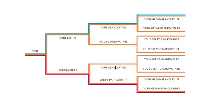 Graphic showing the different genetic lines that each type of DNA test can analyze