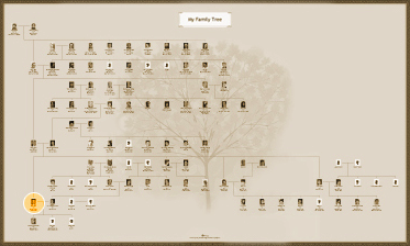 Blank Family Tree Wall Charts