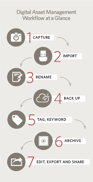 A seven-step digital asset workflow infographic.