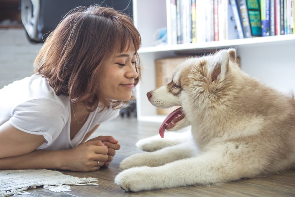 Why do we keep dogs as pets? Find out on FamilyTreeMagazine.com