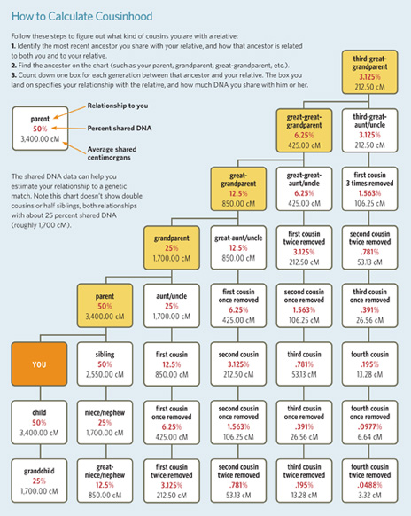 Dna Cousin Relationship Chart