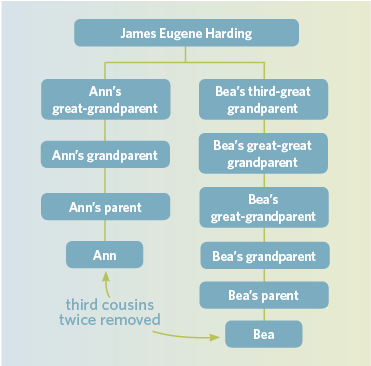 Organize Your Genealogy! - Are You My Cousin?