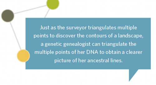Tip for triangulating DNA matches