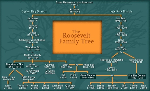 Family tree showing Franklin and Theodore Roosevelt, who were fifth cousins. Franklin's wife, Eleanor, is also a member of the family by birth.