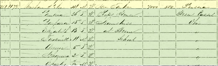 I was hoping to find my German hometown in this 1870 census return, but I see only state.