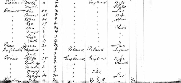 Passenger list, courtesy of Ancestry.com