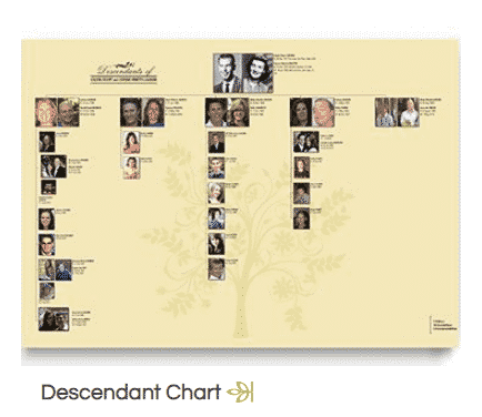 Screenshot of a Descendant Report from My Canvas by Alexander's.