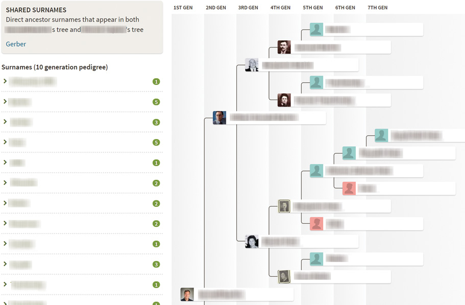 Learn how to create mirror trees on AncestryDNA, beginning by looking at what surnames you share with a DNA match.