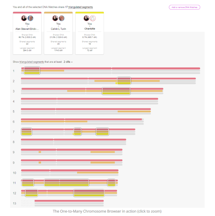 myheritage chromosome browser
