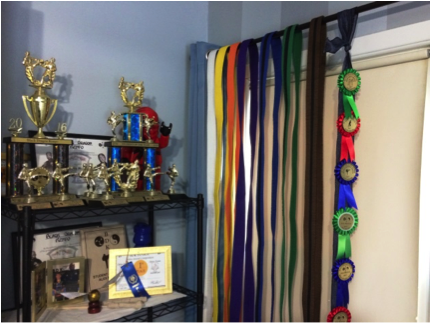 Family history displays for kids trophies and ribbons.