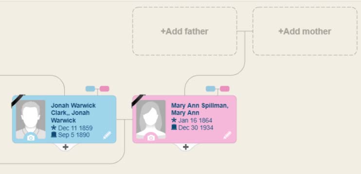 Edit your MyHeritage family tree by zooming in to individual profiles.