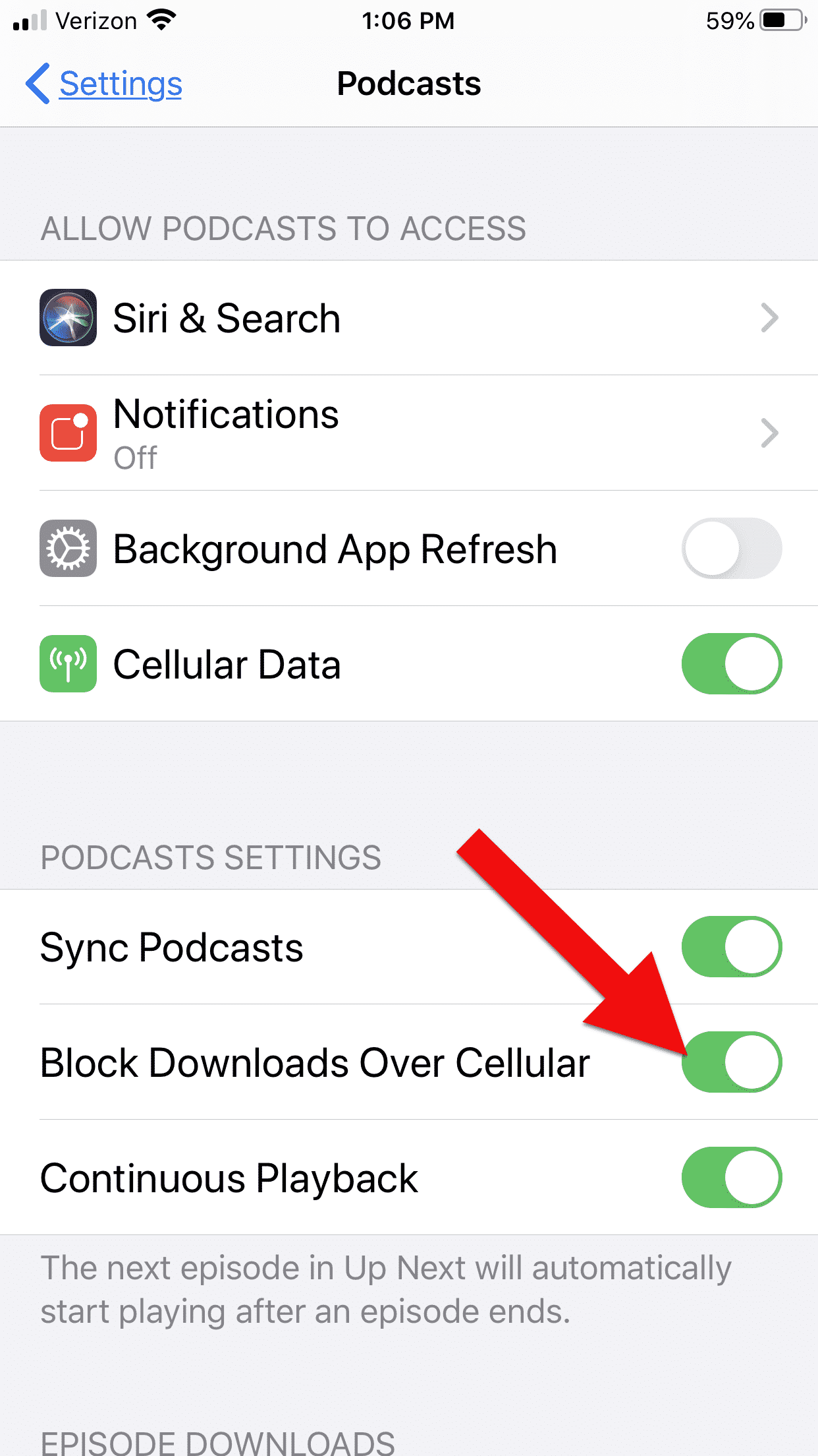 Screenshot of Apple Setting screen with cellular data turned off for podcasts.