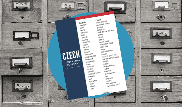 Free Czech genealogy terms form.