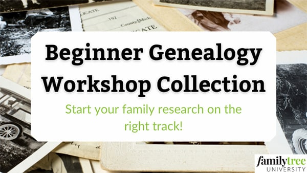 independent genealogy study