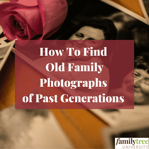 genealogy webinars