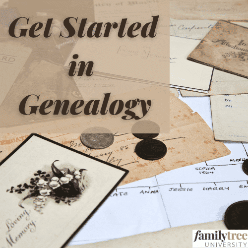 Trace Your Roots: A Beginner's Guide to Genealogy