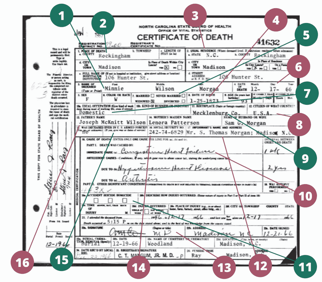 A diagram of a death certificate with numbers highlighting genealogically relevant information.