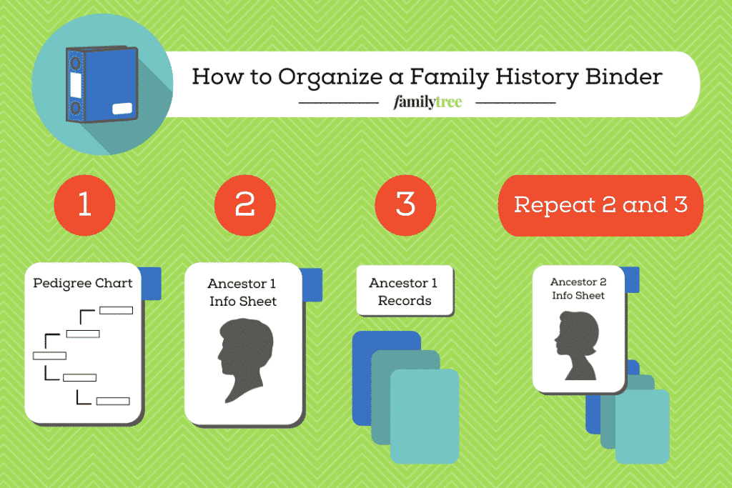 Illustration describing how to organize a family history binder.