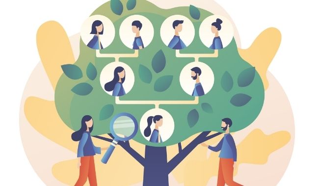 graphic of family tree