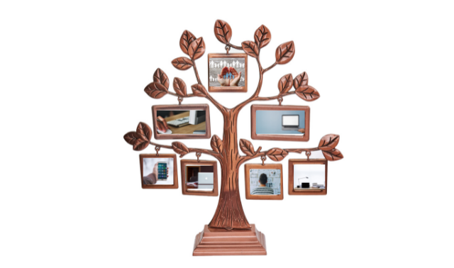 Family Tree Software